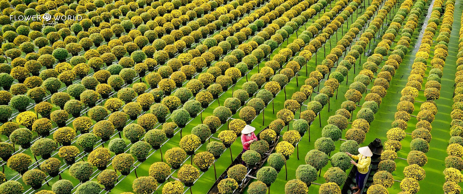 FLOWER WORLD SA DEC URBAN AND TOURISM COMPLEX