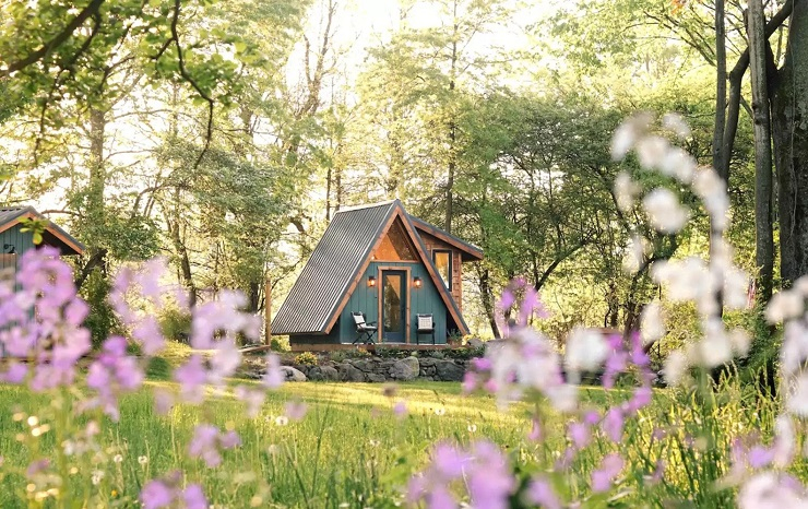 TỔ HỢP ĐÔ THỊ - DU LỊCH FLOWER WORLD SA ĐÉC