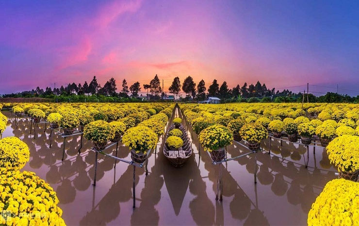 TỔ HỢP ĐÔ THỊ - DU LỊCH FLOWER WORLD SA ĐÉC